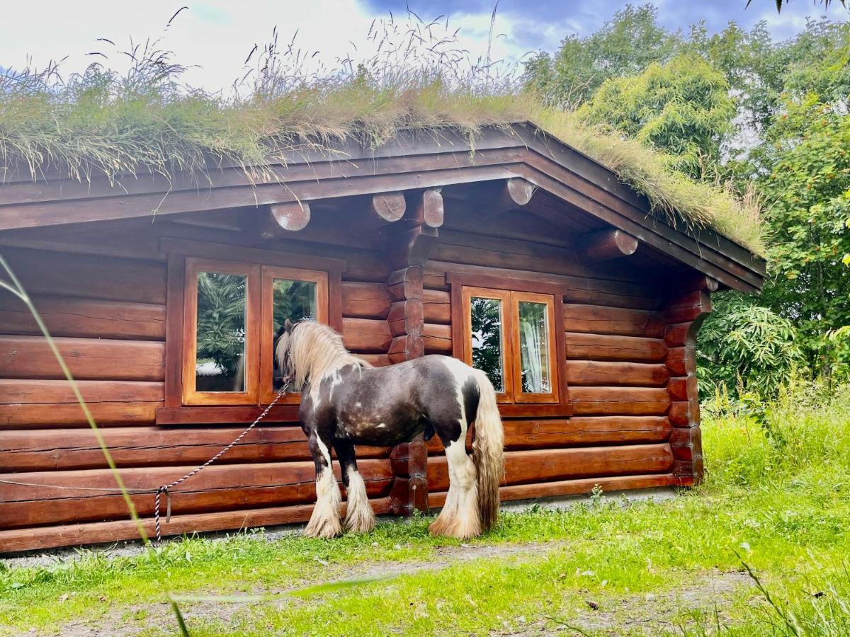 Log Home Village Ulverston Εξωτερικό φωτογραφία